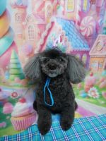 ジュエルちゃん