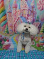 フィリアちゃん