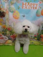 フィリアちゃん