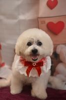 ドレミファソラシドちゃん