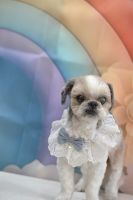 ミュウミュウちゃん