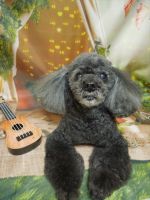 ジュエルちゃん