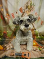 カプリスちゃん