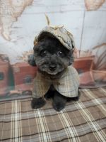 ノワールちゃん