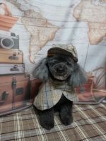 ジュエルちゃん