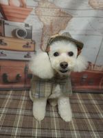 フィリアちゃん