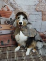 ファーファちゃん