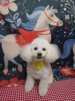 フィリアちゃん