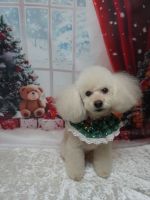 フィリアちゃん