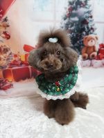 ティアレちゃん