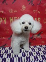 フィリアちゃん