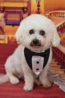 ドレミファソラシドちゃん