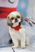 ミュウミュウちゃん