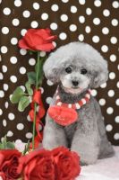 ルーシーちゃん