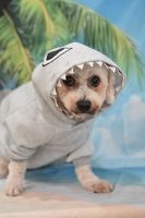 ドレミファソラシドちゃん