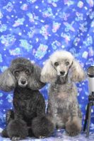 メイちゃん&ハナちゃん