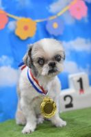 ミュウミュウちゃん