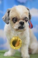 ミュウミュウちゃん