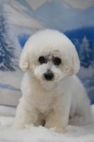 ドレミファソラシドちゃん